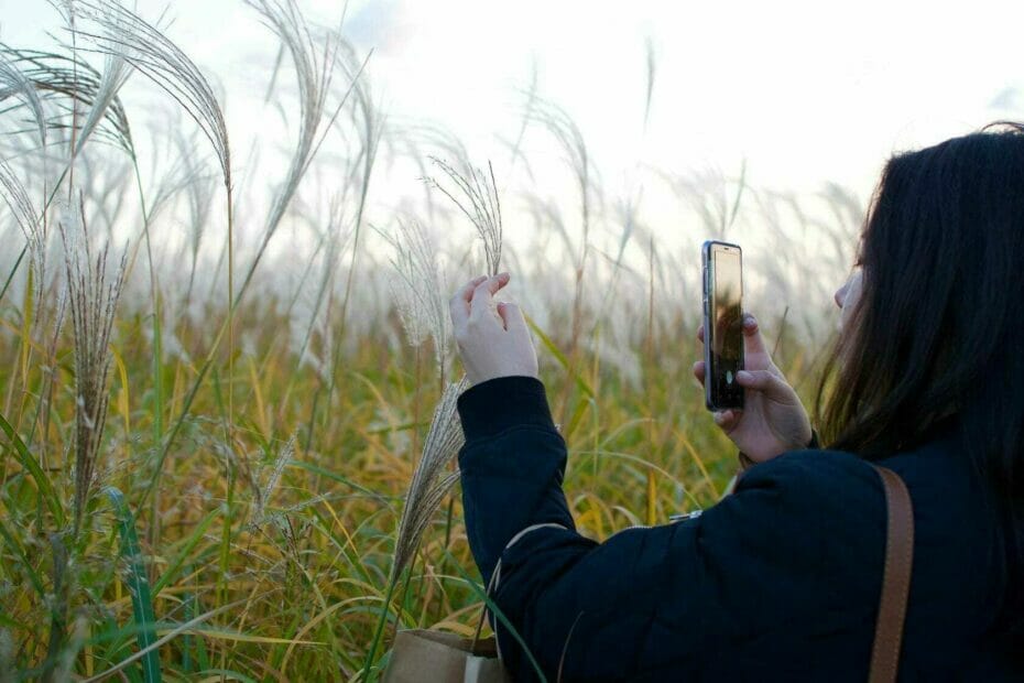 Must-Visit Fall Parks In Seoul - World Cup Stadium 9 Haneul Garden's Silver Grass