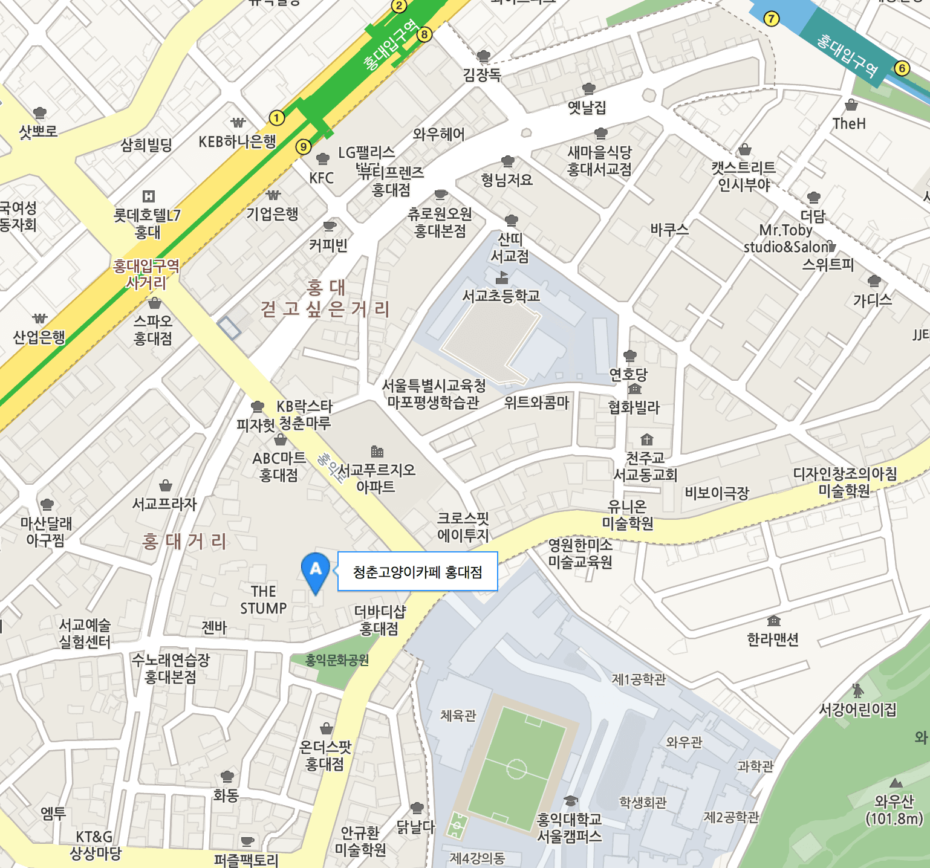 청춘고양이카페 홍대점