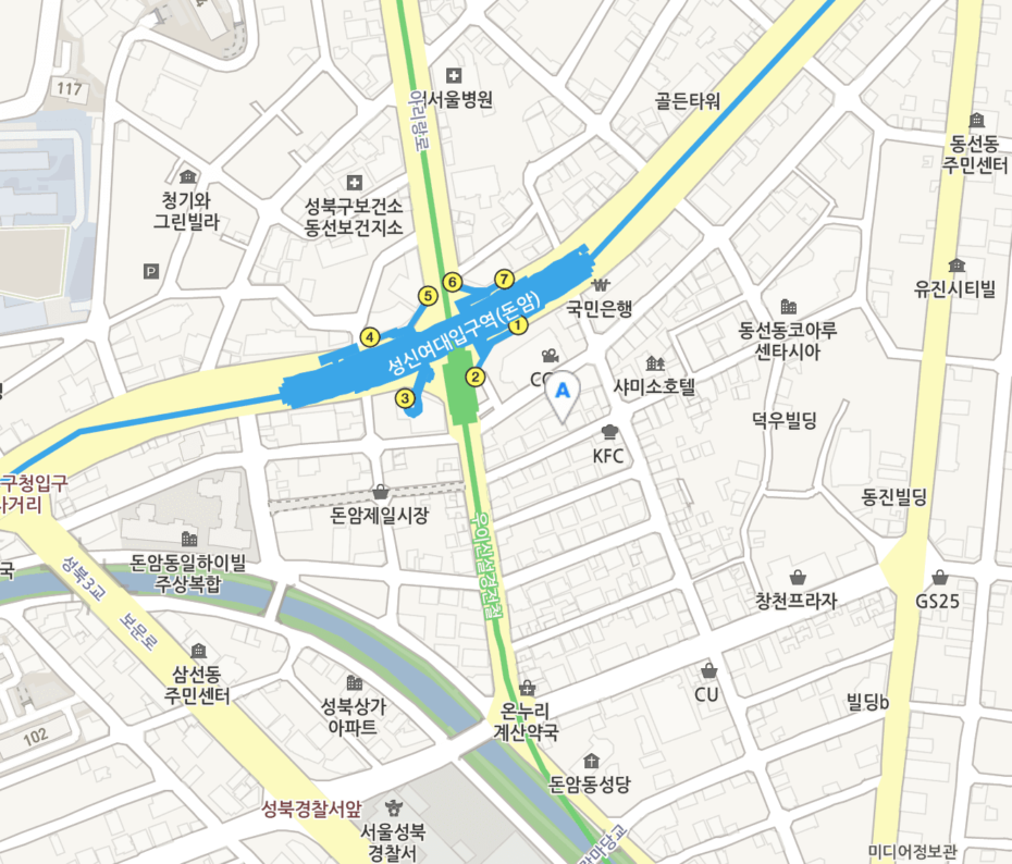 Best Places To Date In Seoul For Animal Lovers! 8 카페개네