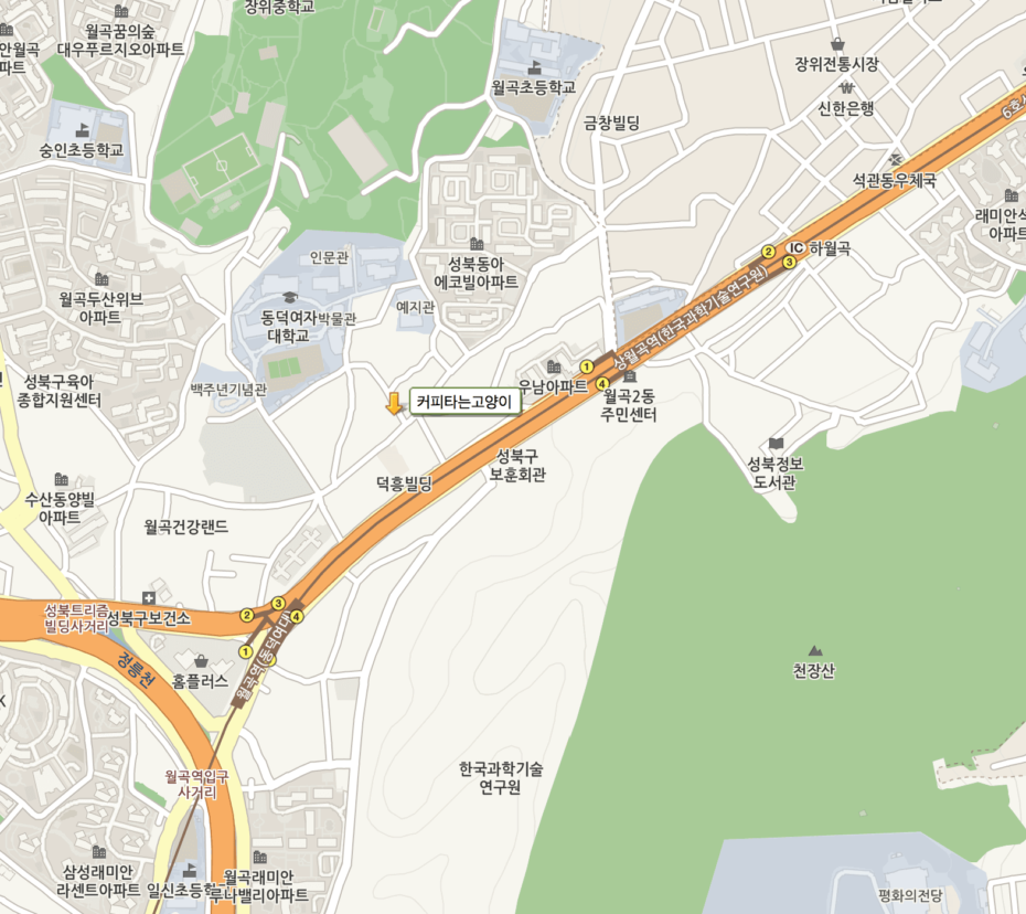 Best Places To Date In Seoul For Animal Lovers! 2 커피타는 고양이 directions