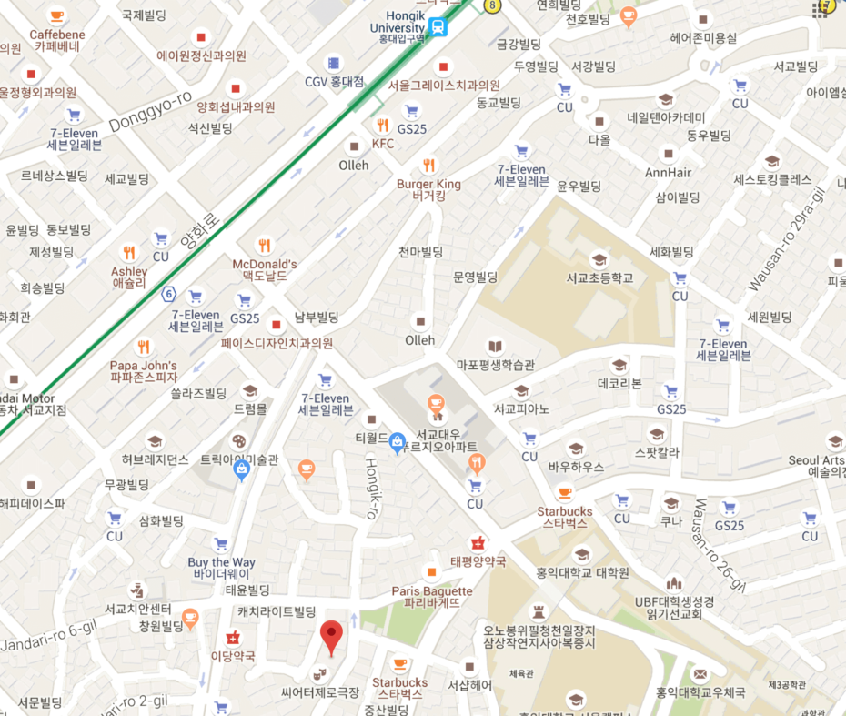 Best Places To Date In Seoul For Animal Lovers! 10 Hongdae Meerkat Cafe