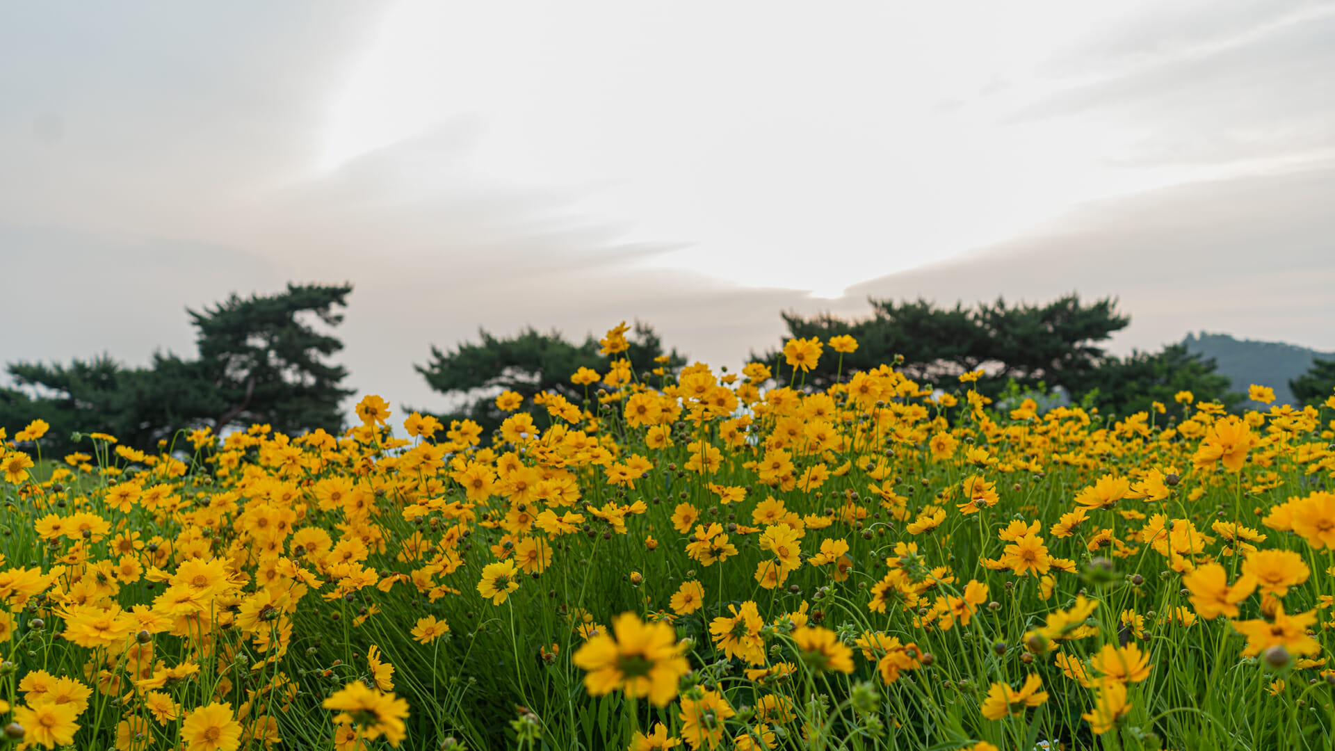 Mountains In Seoul. Where To Climb, Korean Mountain Culture And More 16 Mountains in Seoul. Where to Climb, Korean Mountain Culture and More 10