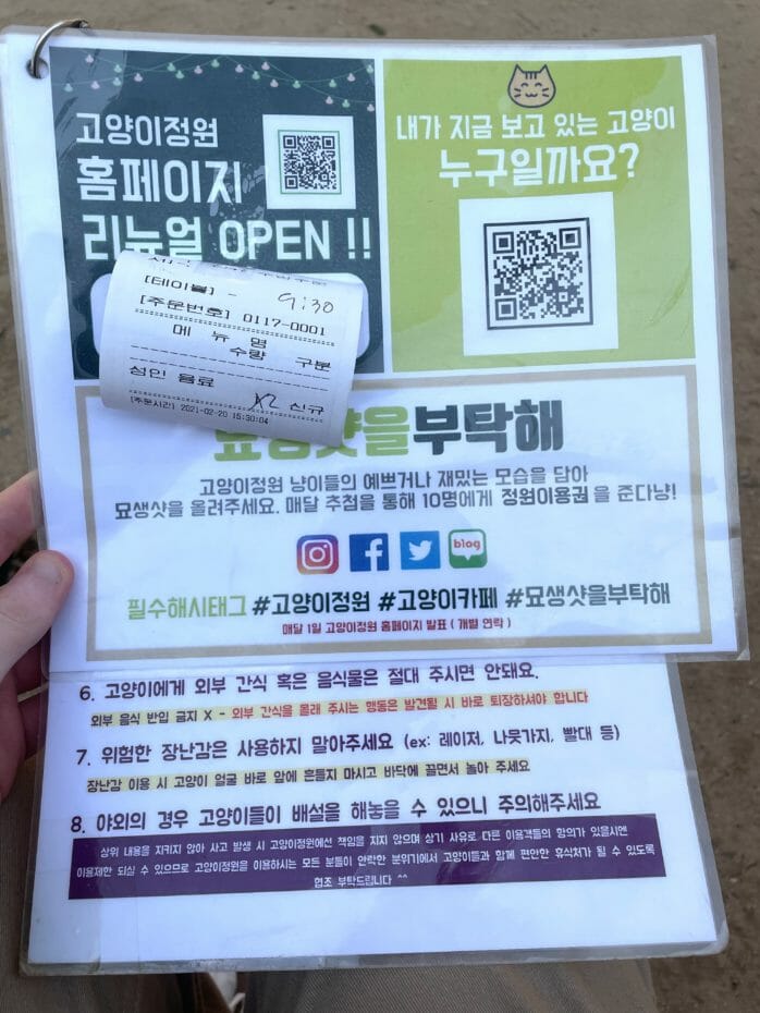 Cat Lover Garden In Seoul - More Than A Cat Cafe! 9 Cat Lover Garden in Seoul - More Than a Cat Cafe! 8