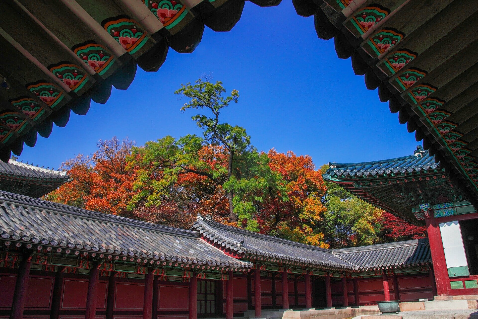 When Is The Best Season To Visit Seoul? 24 When Is the Best Season to Visit Seoul? 7