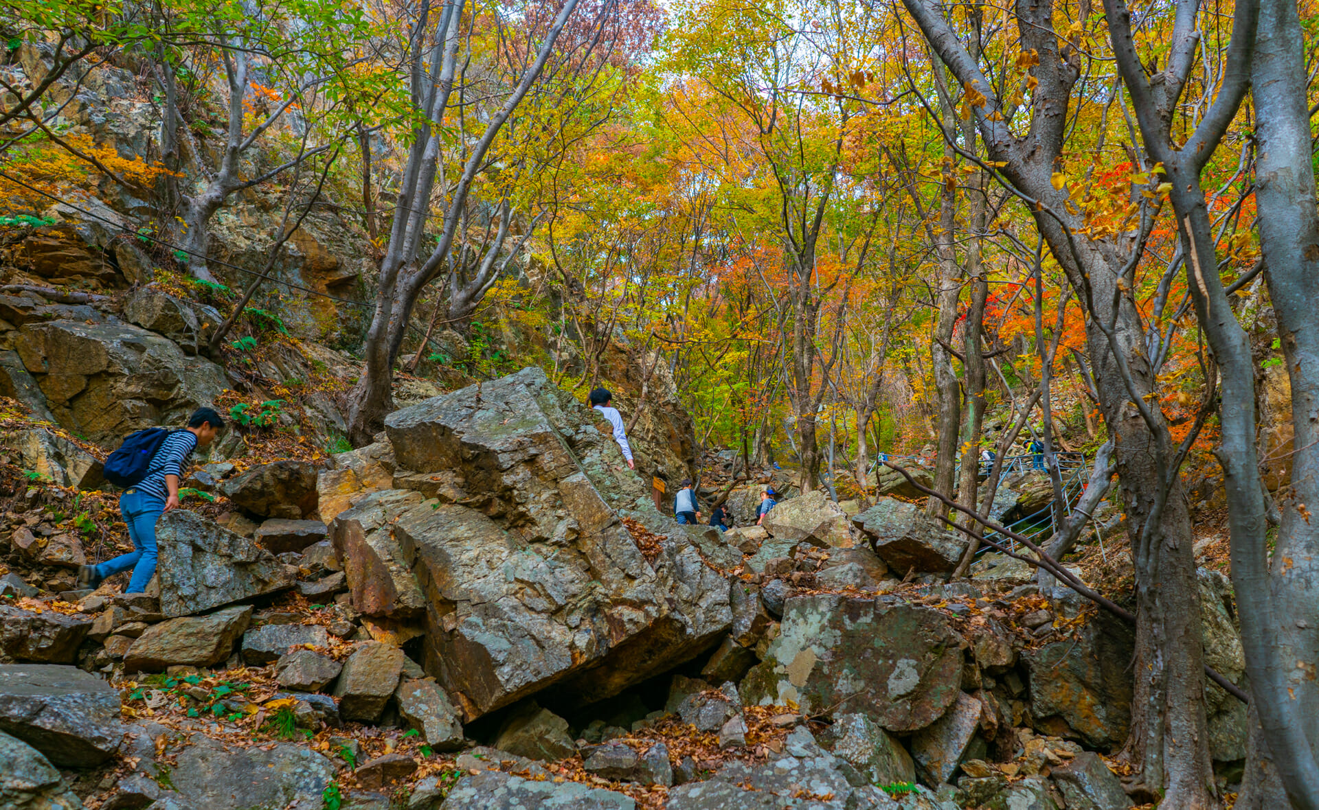 The Best Fall Foliage In Korea - Trazy Tour To Daedunsan 5 The Best Fall Foliage in Korea - Trazy Tour to Daedunsan 4