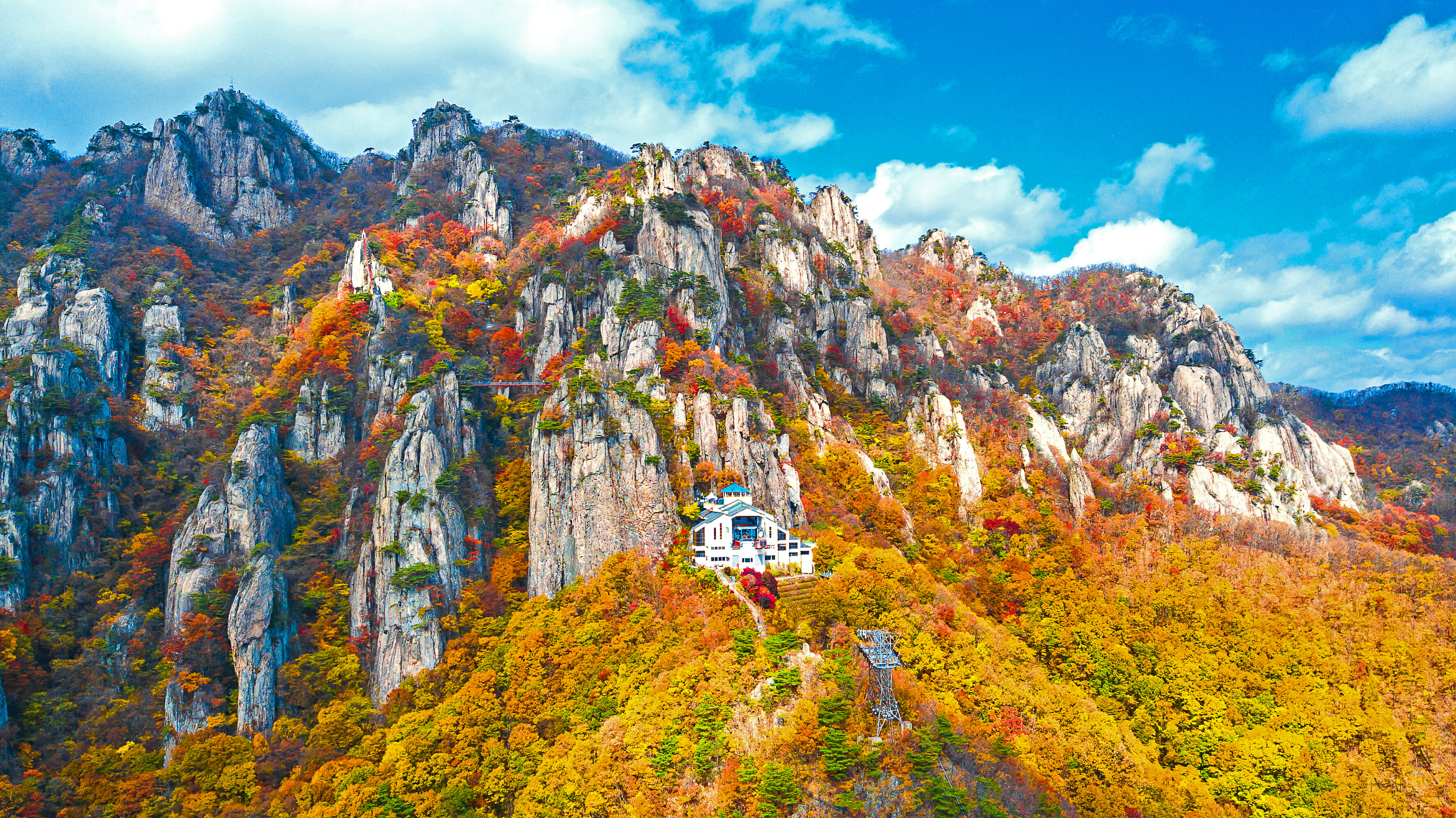 12 Best Korean Tours To Try 4 12 Best Korean Tours to Try 4
