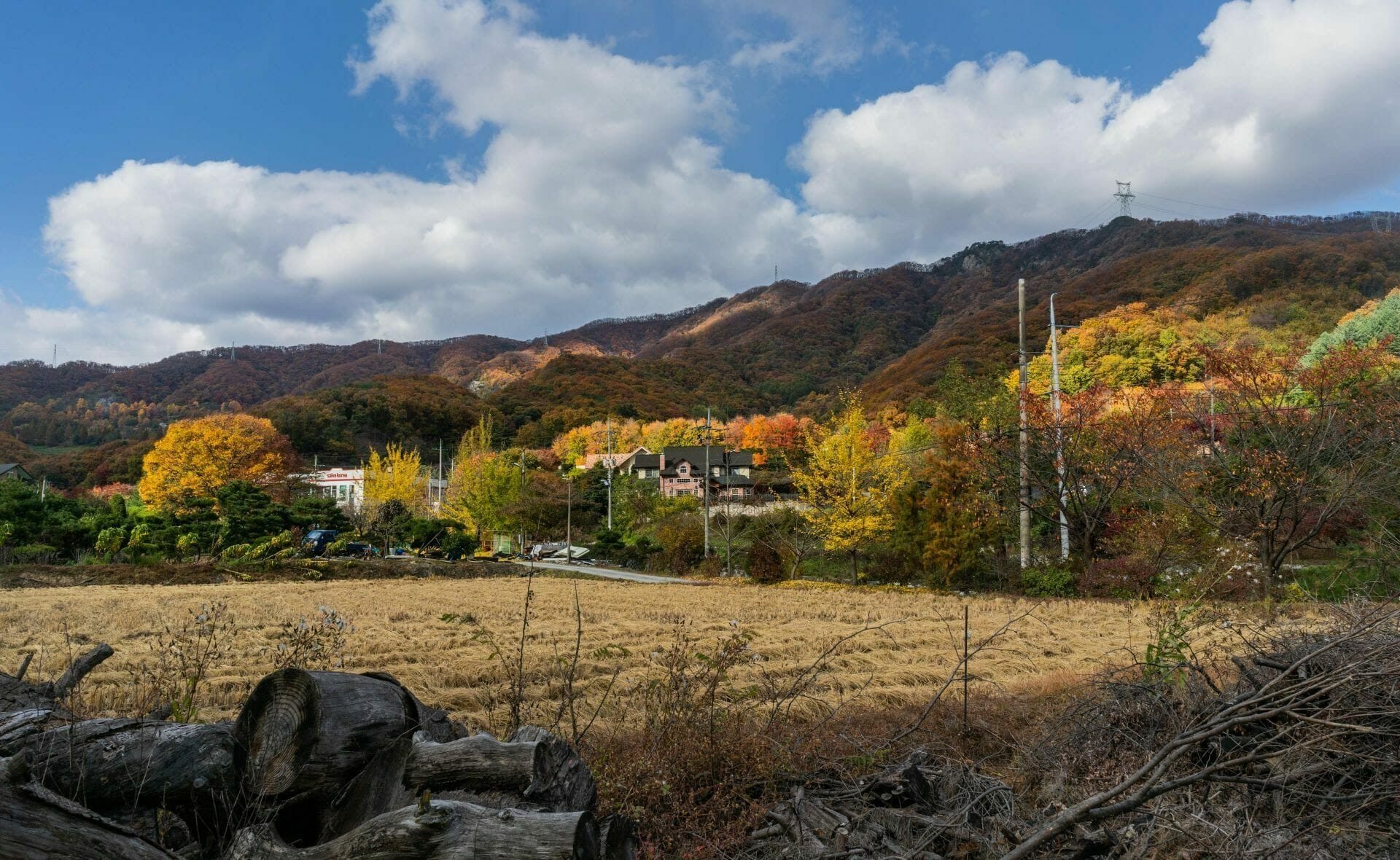When Is The Best Season To Visit Seoul? 18 Colourful Korean Countryside