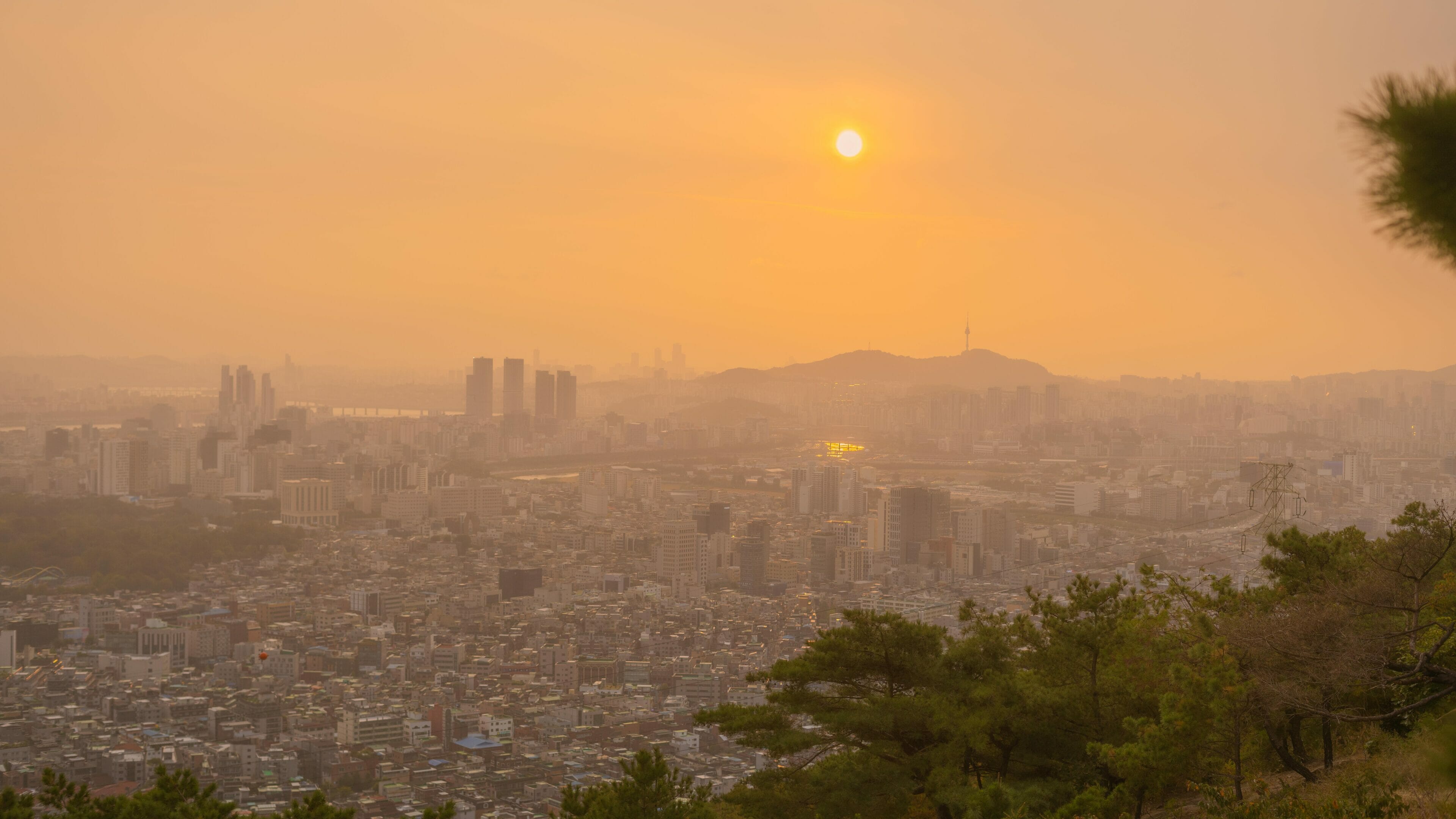 Spring In Korea – Spring Activities, Spring Weather And More! 5 Spring in Korea – Spring Activities, Spring Weather and More! 5