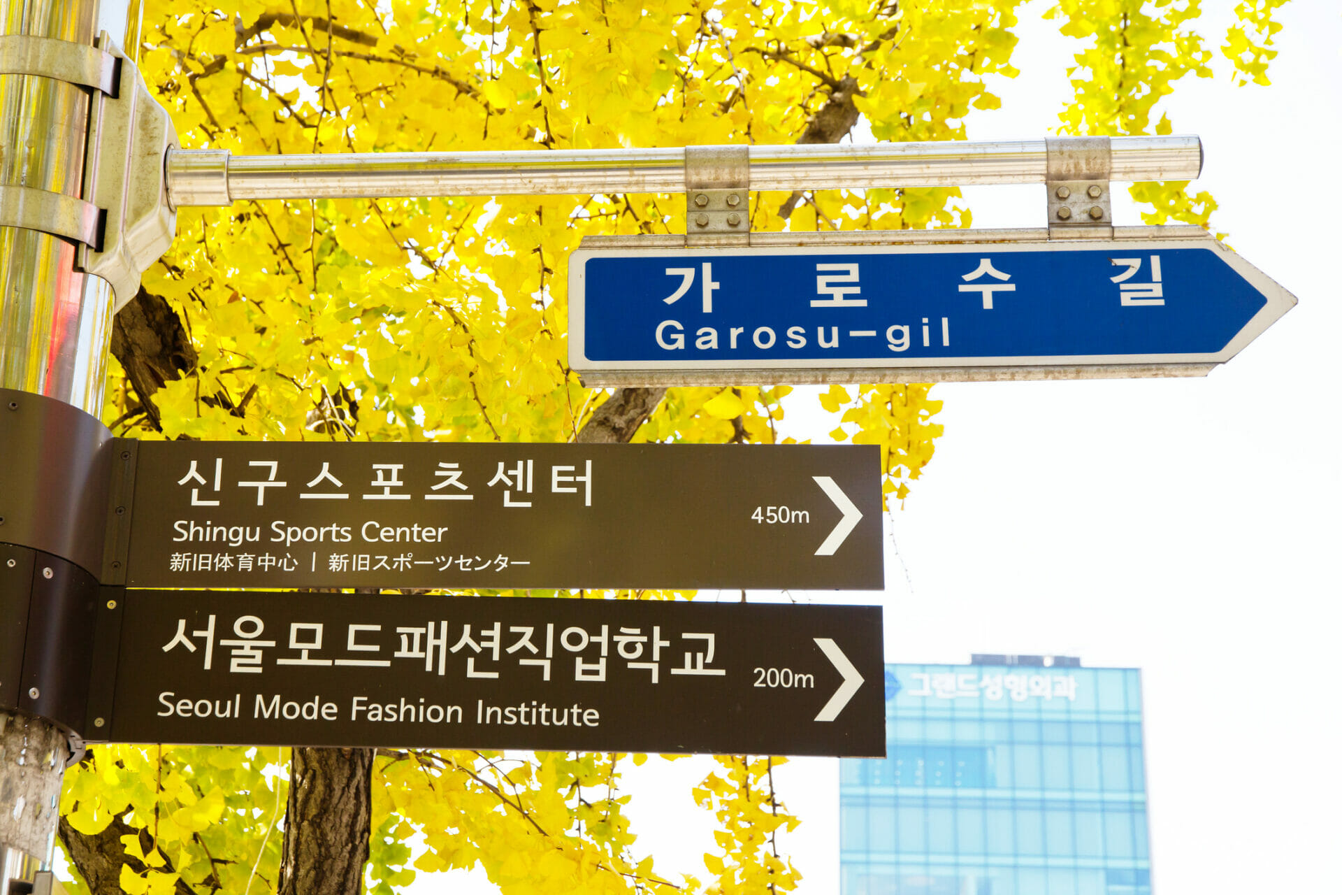Where To Stay In Seoul - Best Neighbourhoods, Hotels &Amp; More 23 Where to Stay in Seoul - Best Neighbourhoods, Hotels & More 14
