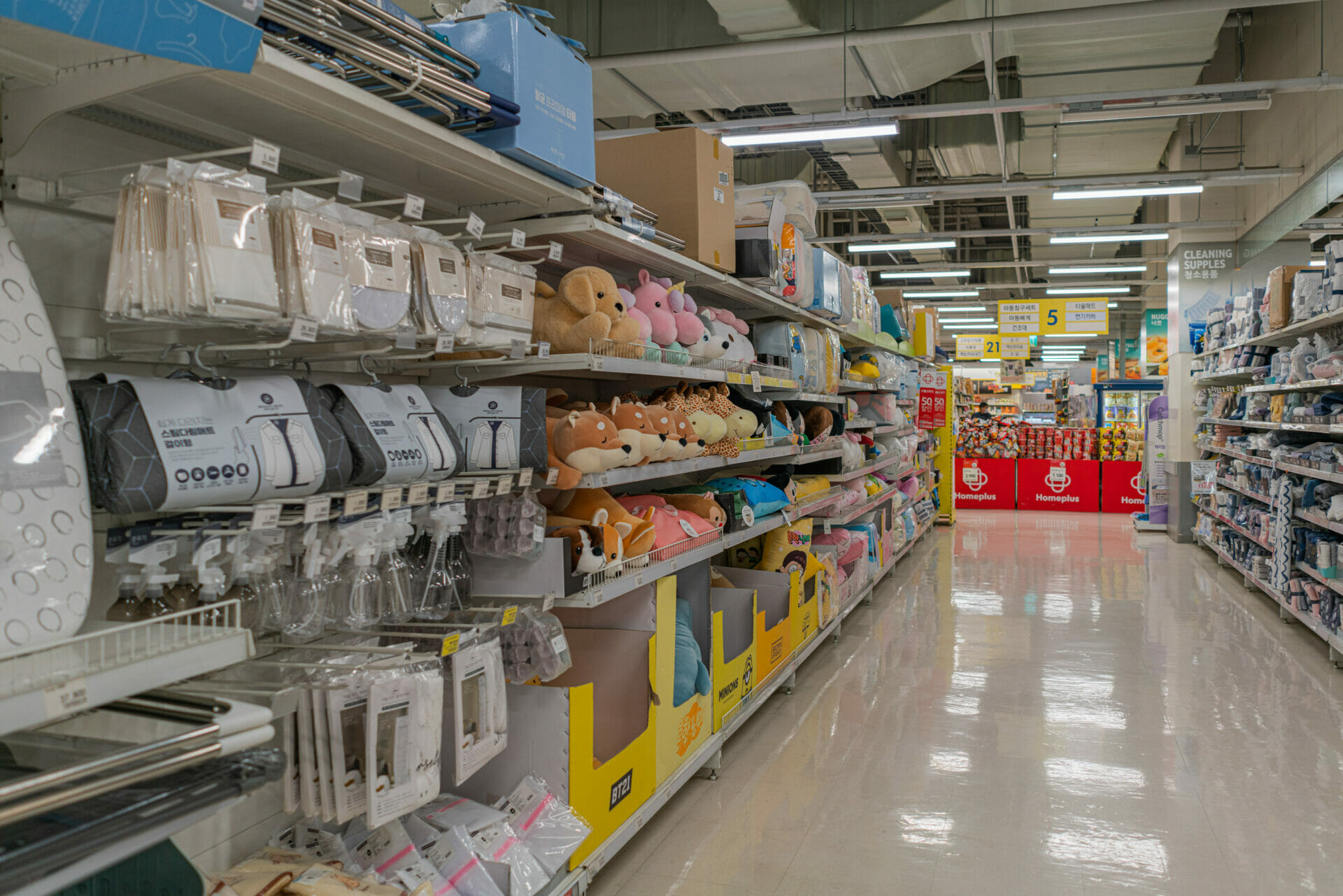 Grocery Shopping in Korea - The Best Supermarkets in Korea 2