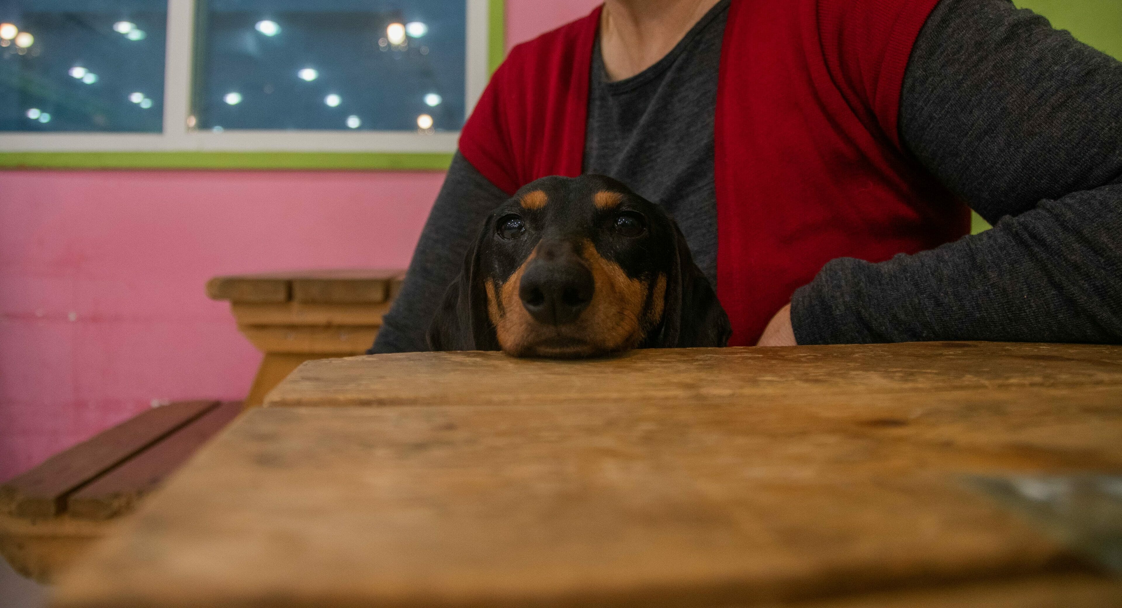 Winter In Korea - 50+ Winter Activities, Winter Weather And More! 31 Winter in Korea - 50+ Winter Activities, Winter Weather and More! 23