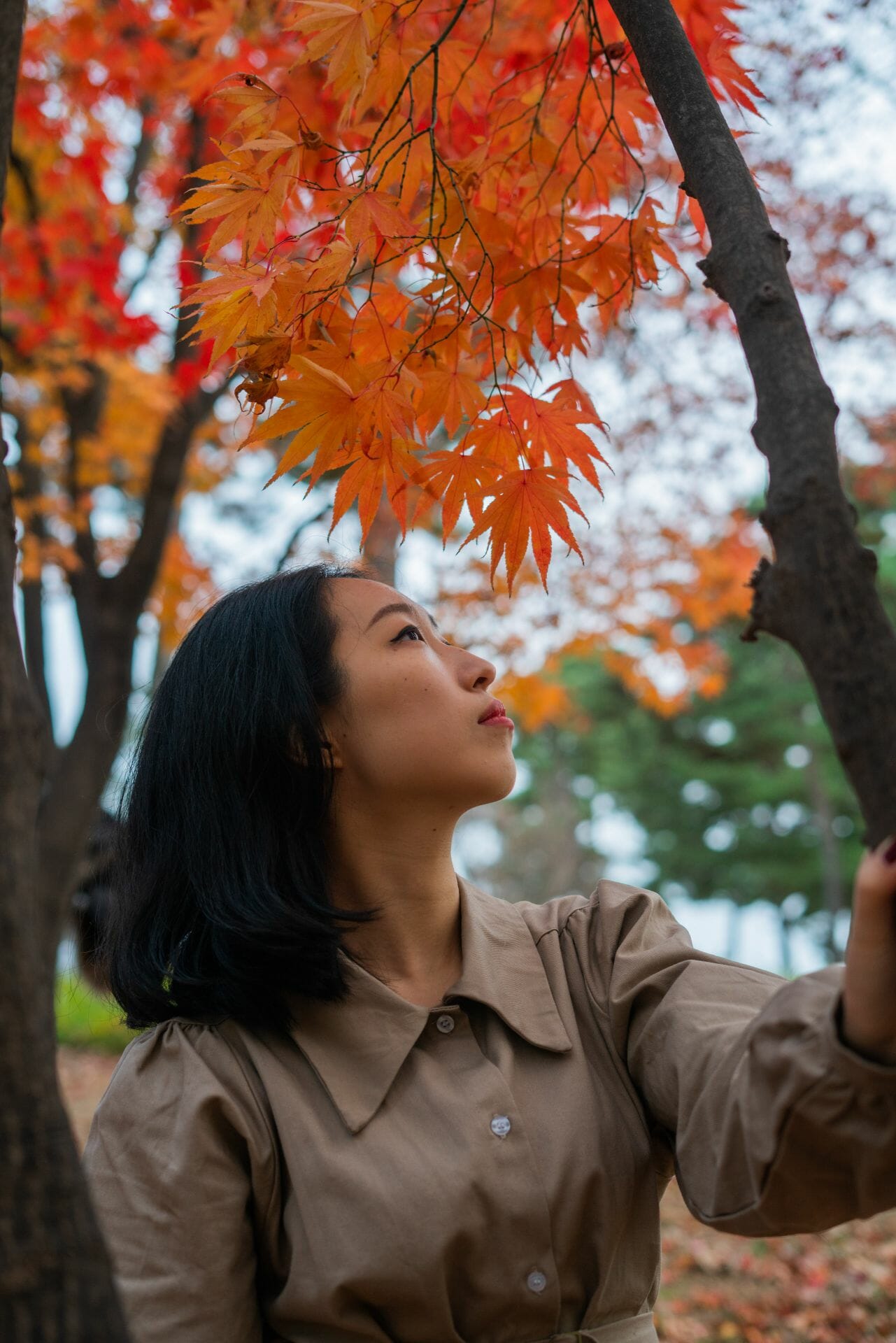 When Is The Best Season To Visit Seoul? 5 Fall Colours South Korea