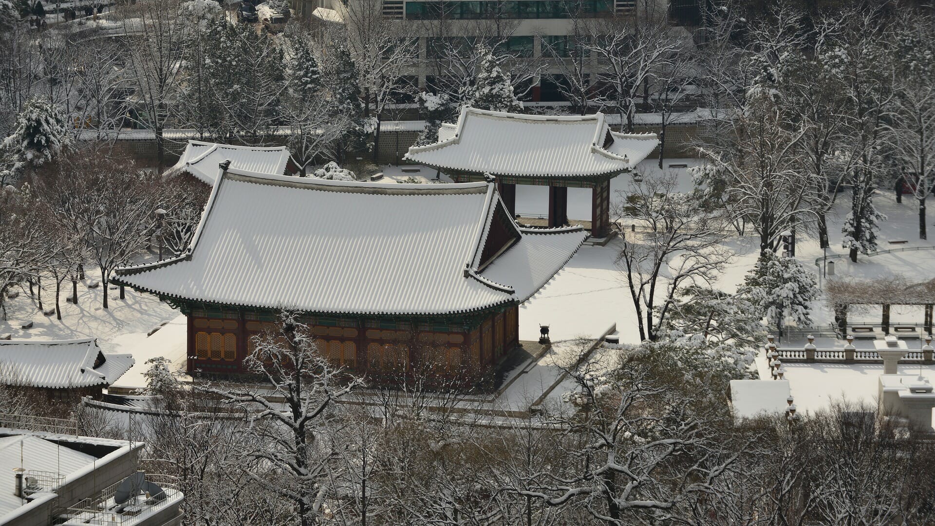 When Is The Best Season To Visit Seoul? 23 Korea in Winter