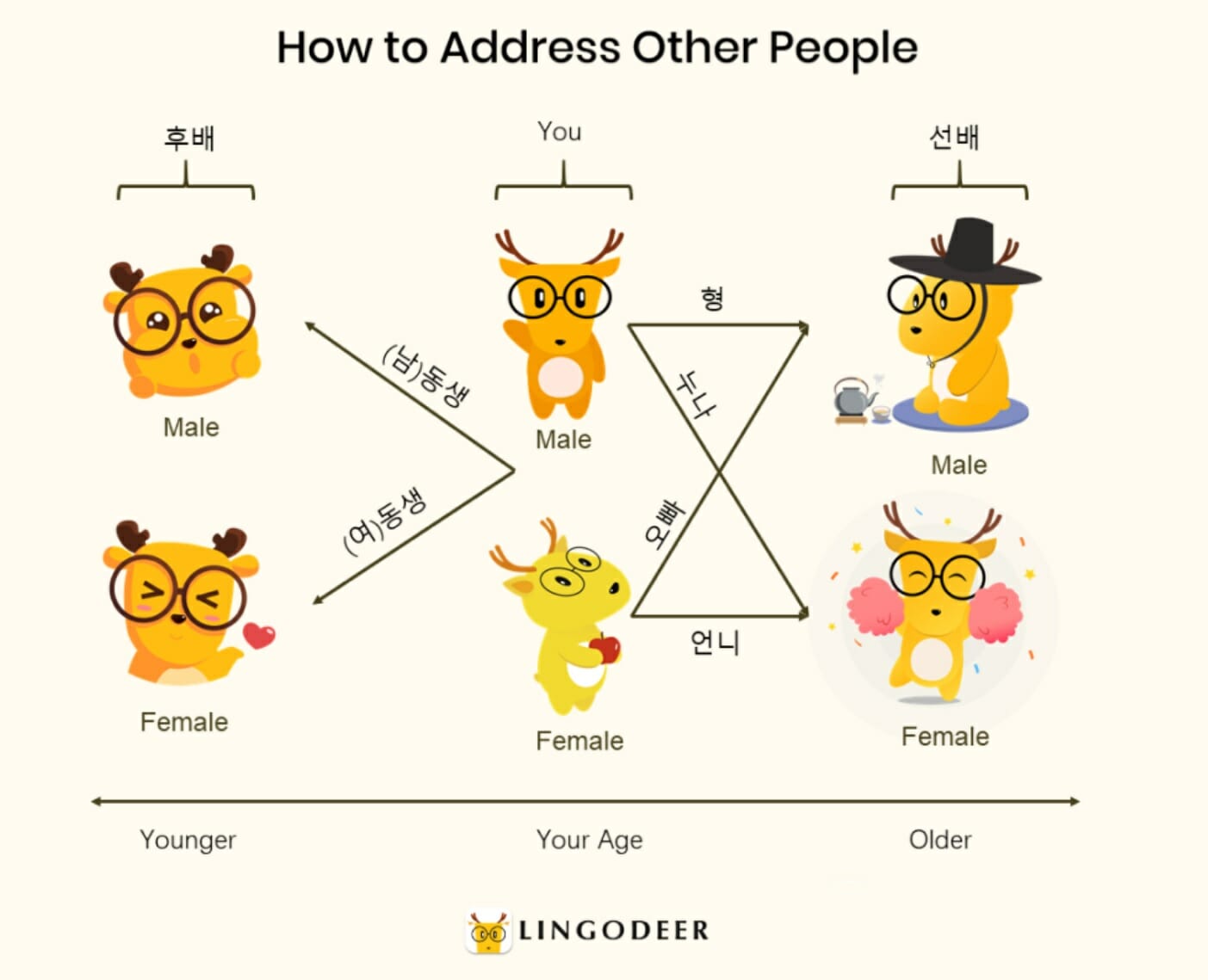 10 Korean Culture Facts That Surprise Tourists 9