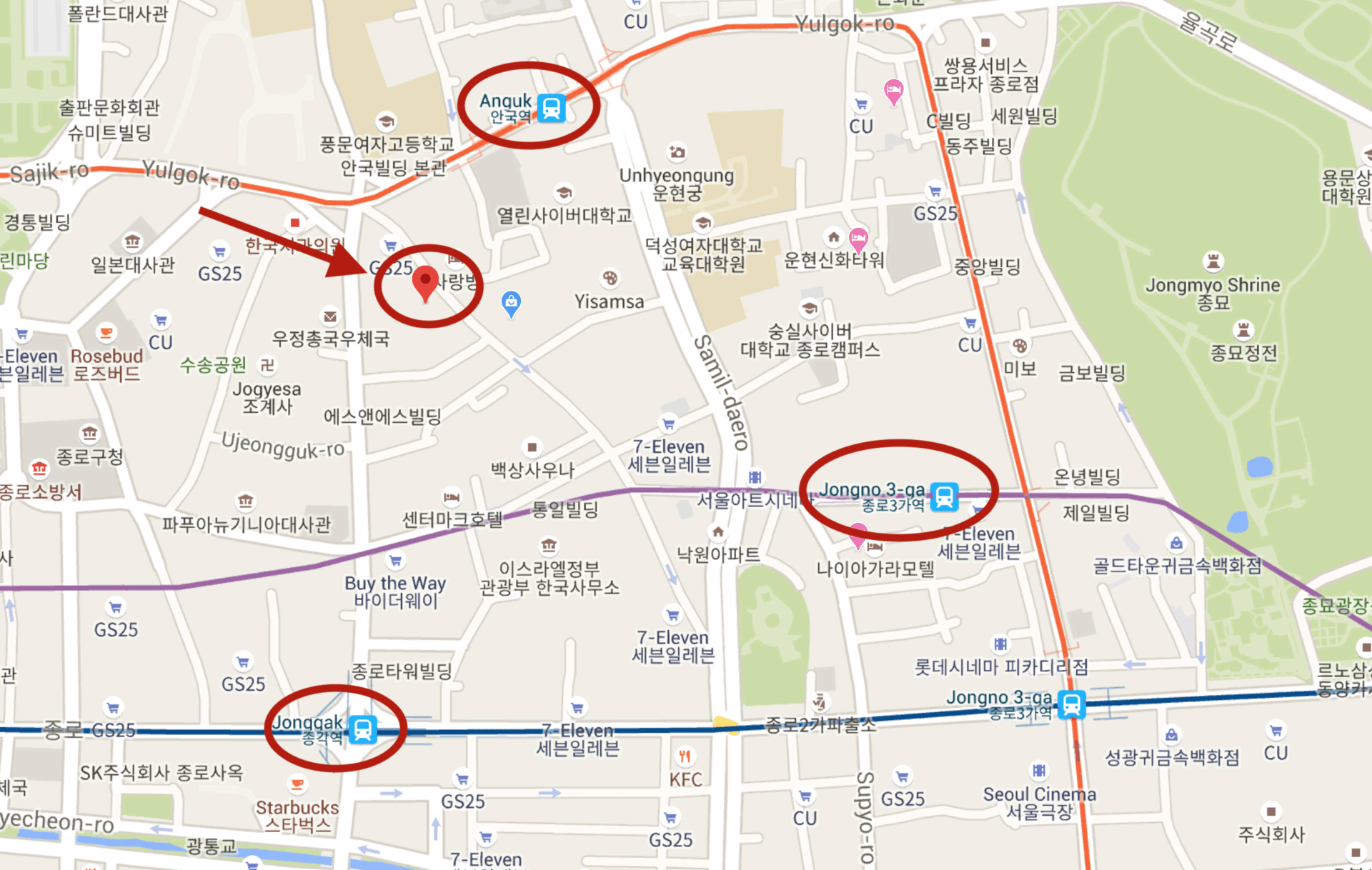 Colorpool Museum- Seoul's Most Instagrammable Place 2