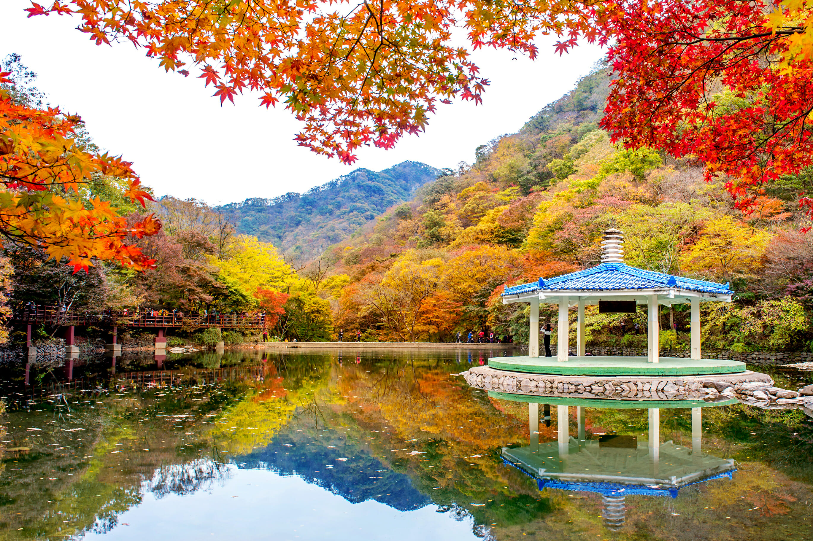 12 Best Korean Tours To Try 12 12 Best Korean Tours to Try 12