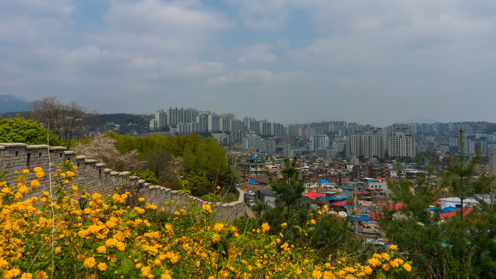 Where To Stay In Seoul - Best Neighbourhoods, Hotels &Amp; More 9 Where to Stay in Seoul - Best Neighbourhoods, Hotels & More 5
