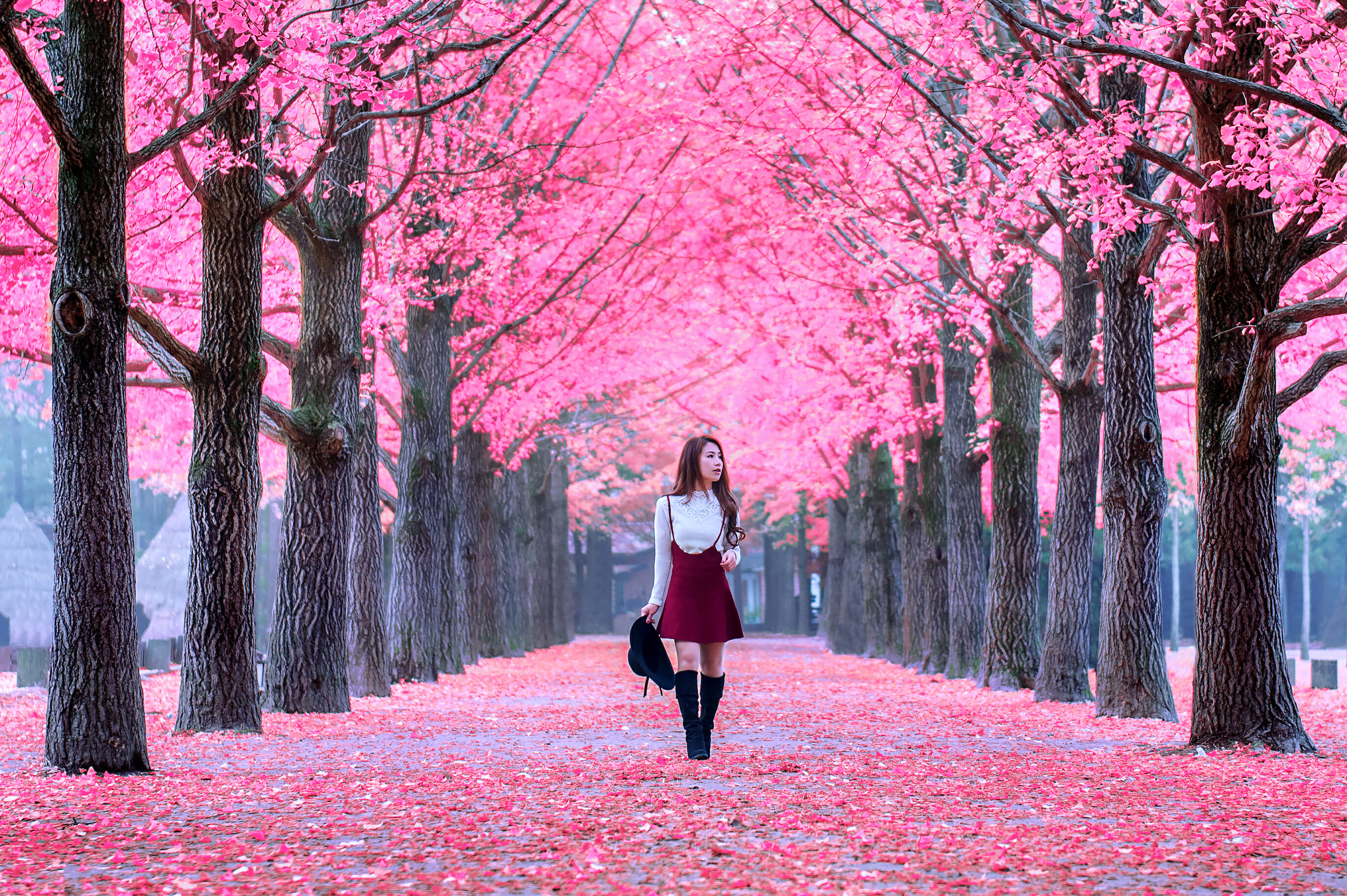 Spring In Korea – Spring Activities, Spring Weather And More! 32 Spring in Korea – Spring Activities, Spring Weather and More! 31