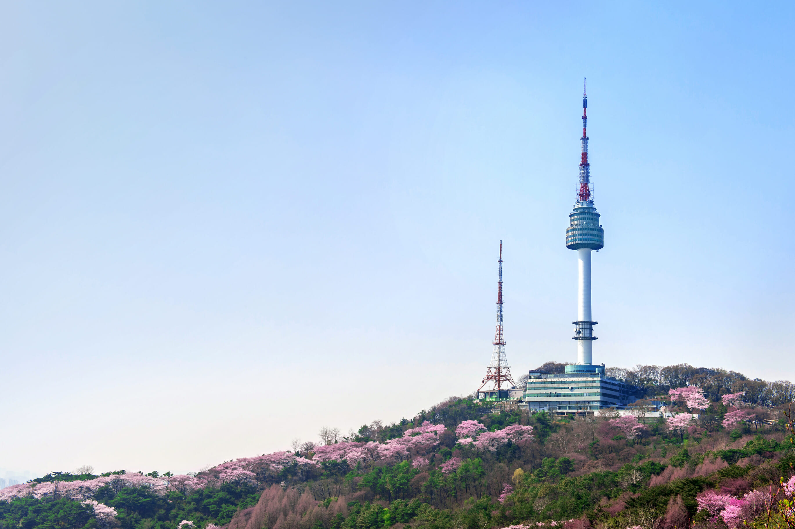 Spring In Korea – Spring Activities, Spring Weather And More! 37 Spring in Korea – Spring Activities, Spring Weather and More! 36