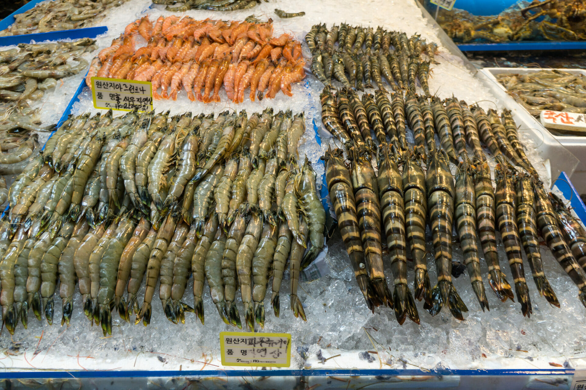 Grocery Shopping in Korea - The Best Supermarkets in Korea 27