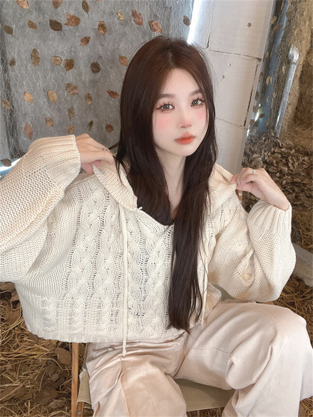 Retro Autumn 2 Colors Hollow Out Hooded Knitting Tops3 Retro Autumn 2 Colors Hollow Out Hooded Knitting Tops 4