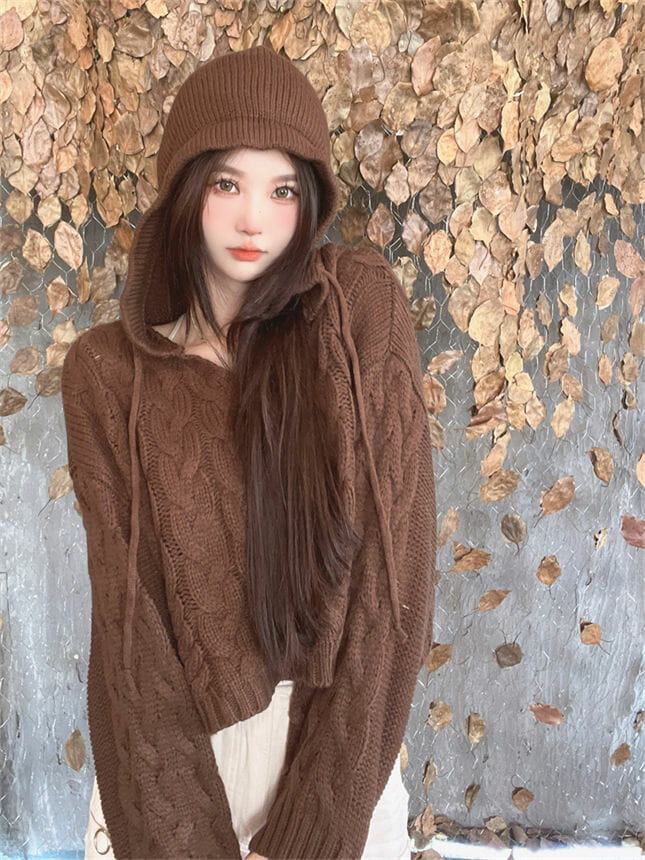 Retro Autumn 2 Colors Hollow Out Hooded Knitting Tops4 Retro Autumn 2 Colors Hollow Out Hooded Knitting Tops 3