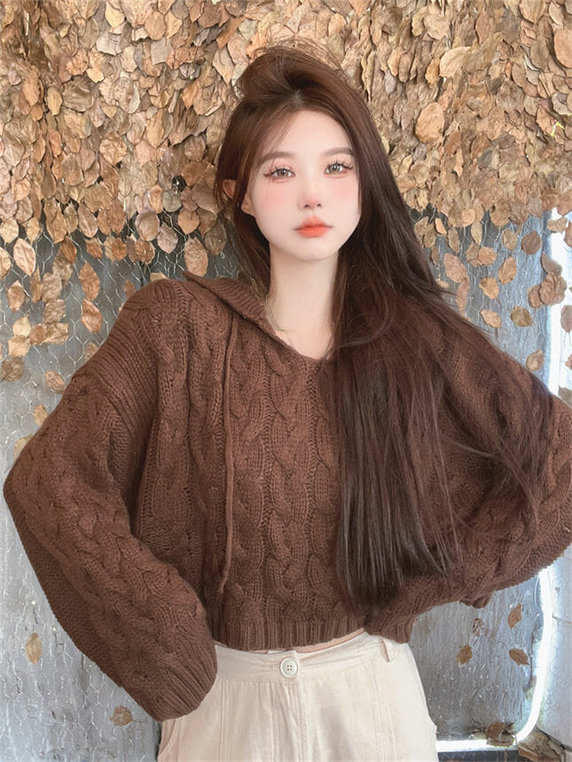 Retro Autumn 2 Colors Hollow Out Hooded Knitting Tops5 Retro Autumn 2 Colors Hollow Out Hooded Knitting Tops 2