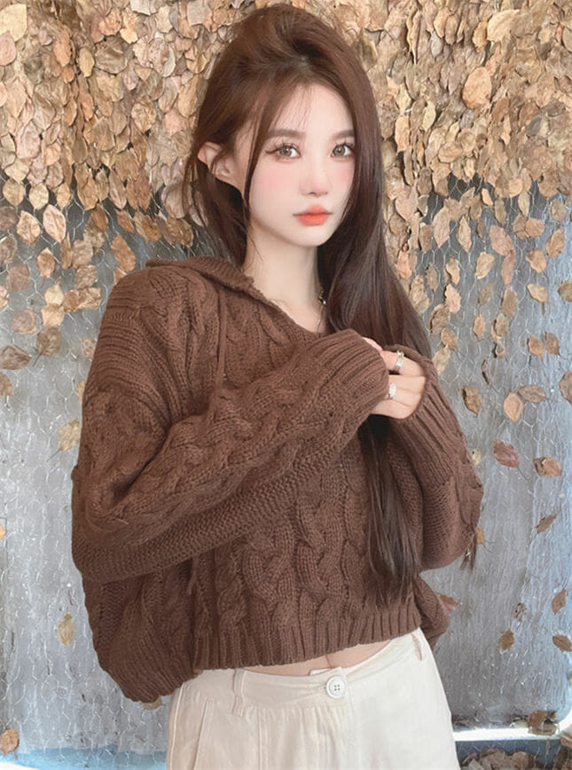 Retro Autumn 2 Colors Hollow Out Hooded Knitting Tops6 Retro Autumn 2 Colors Hollow Out Hooded Knitting Tops 1