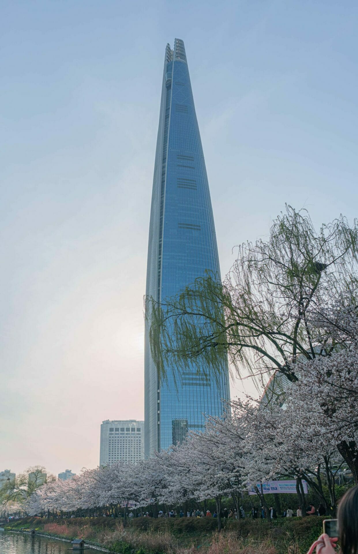 16 Overlooked Neighbourhoods In Seoul - How Many Have You Visited? 28 Cherry Blossoms in Front of Lotte Tower