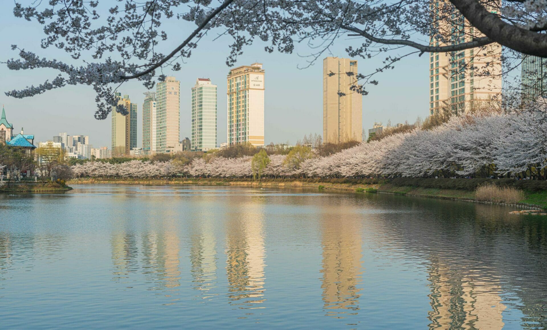 Spring In Korea – Spring Activities, Spring Weather And More! 19 Seokchon Lake Cherry Blossoms