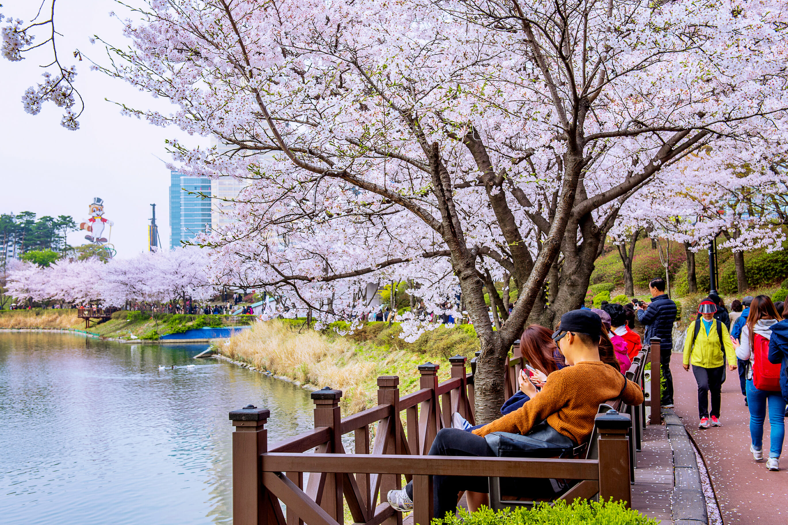Spring In Korea – Spring Activities, Spring Weather And More! 36 Spring in Korea – Spring Activities, Spring Weather and More! 35