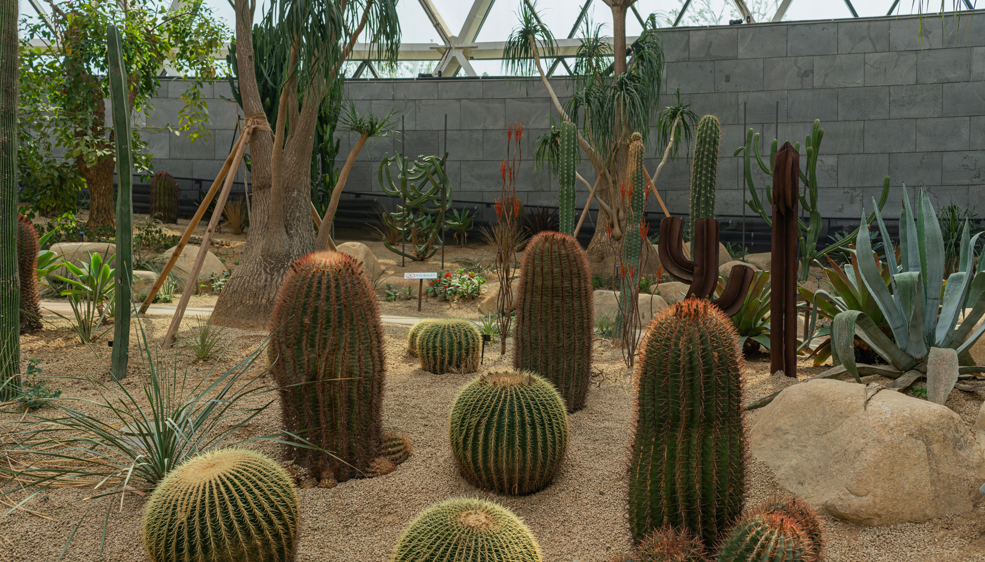Seoul'S Newest Attraction: Seoul Botanic Park 7 Seoul Botanic Park Arid Area