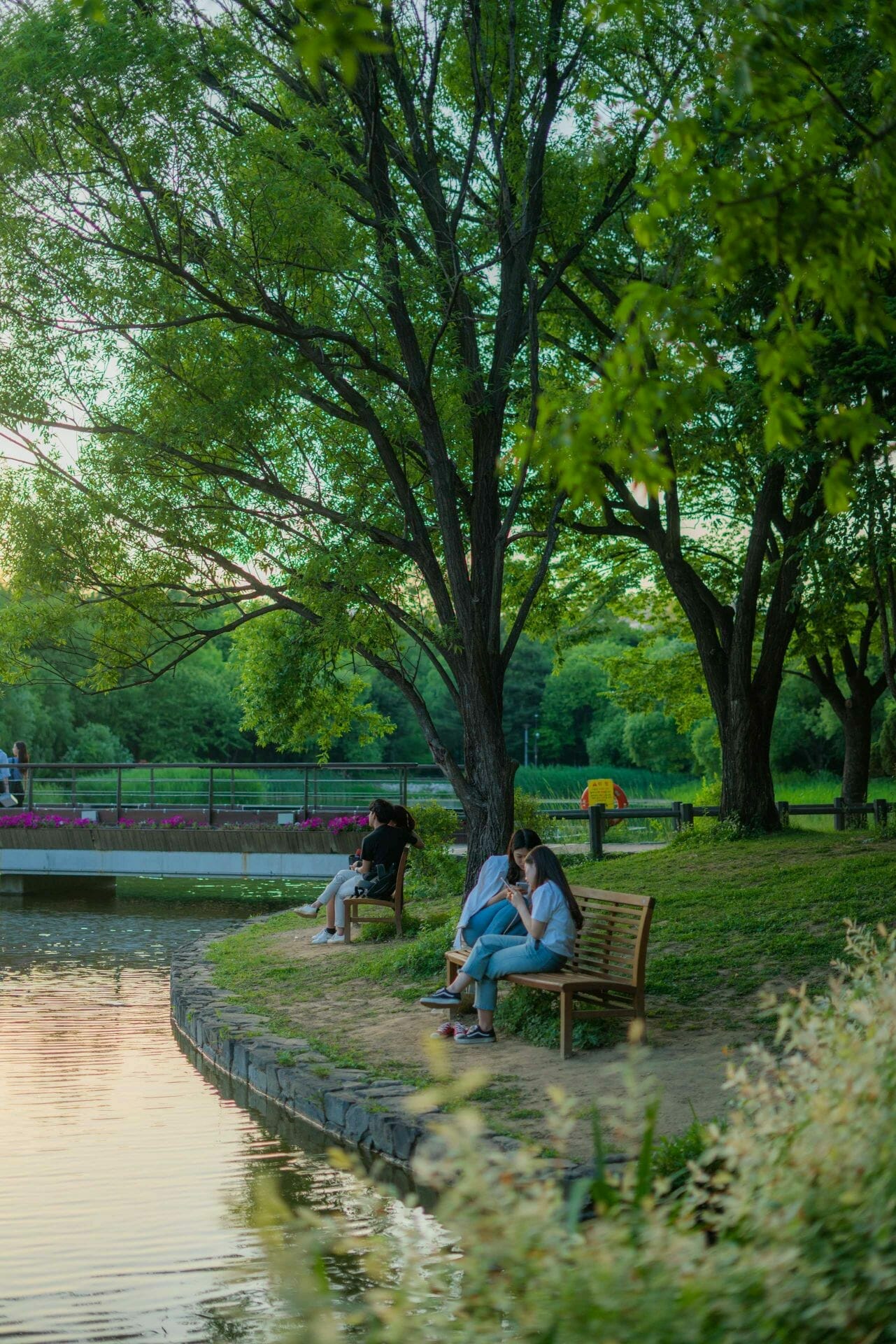 Summer In Seoul Forest 3 Seoul Forest Picnic