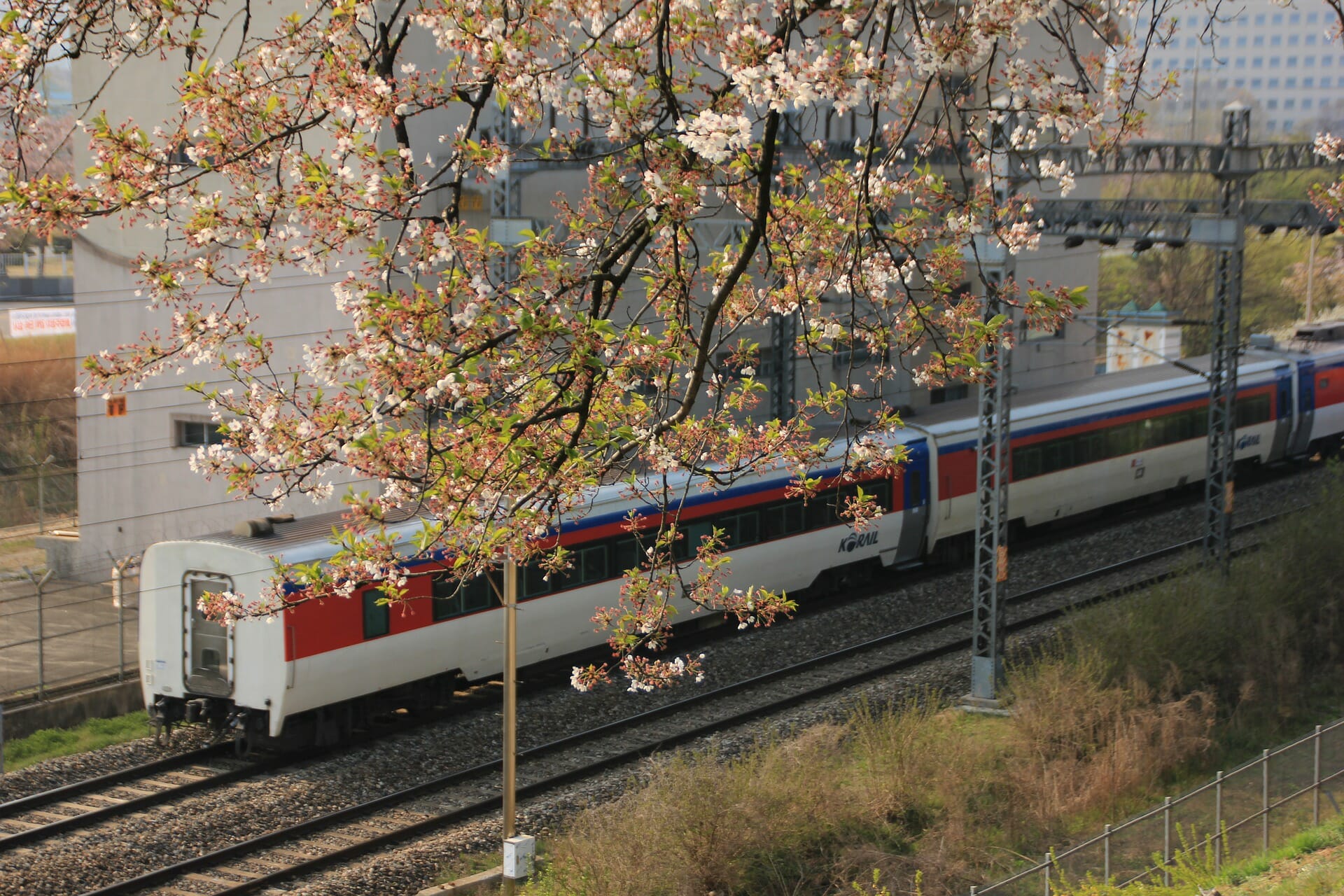 When Is The Best Season To Visit Seoul? 25 When Is the Best Season to Visit Seoul? 8