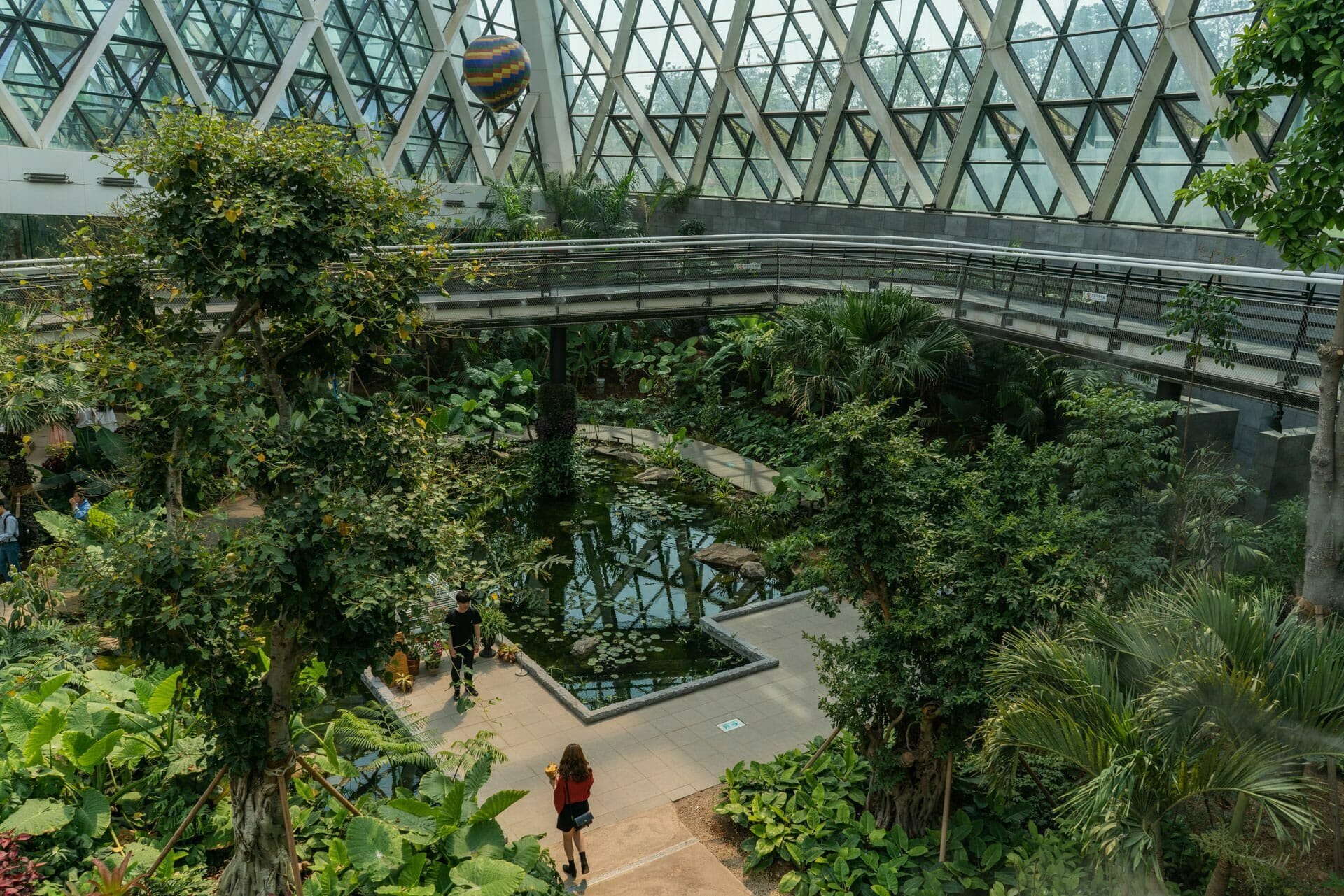 Seoul'S Newest Attraction: Seoul Botanic Park 5 Seoul botanic garden skywalk