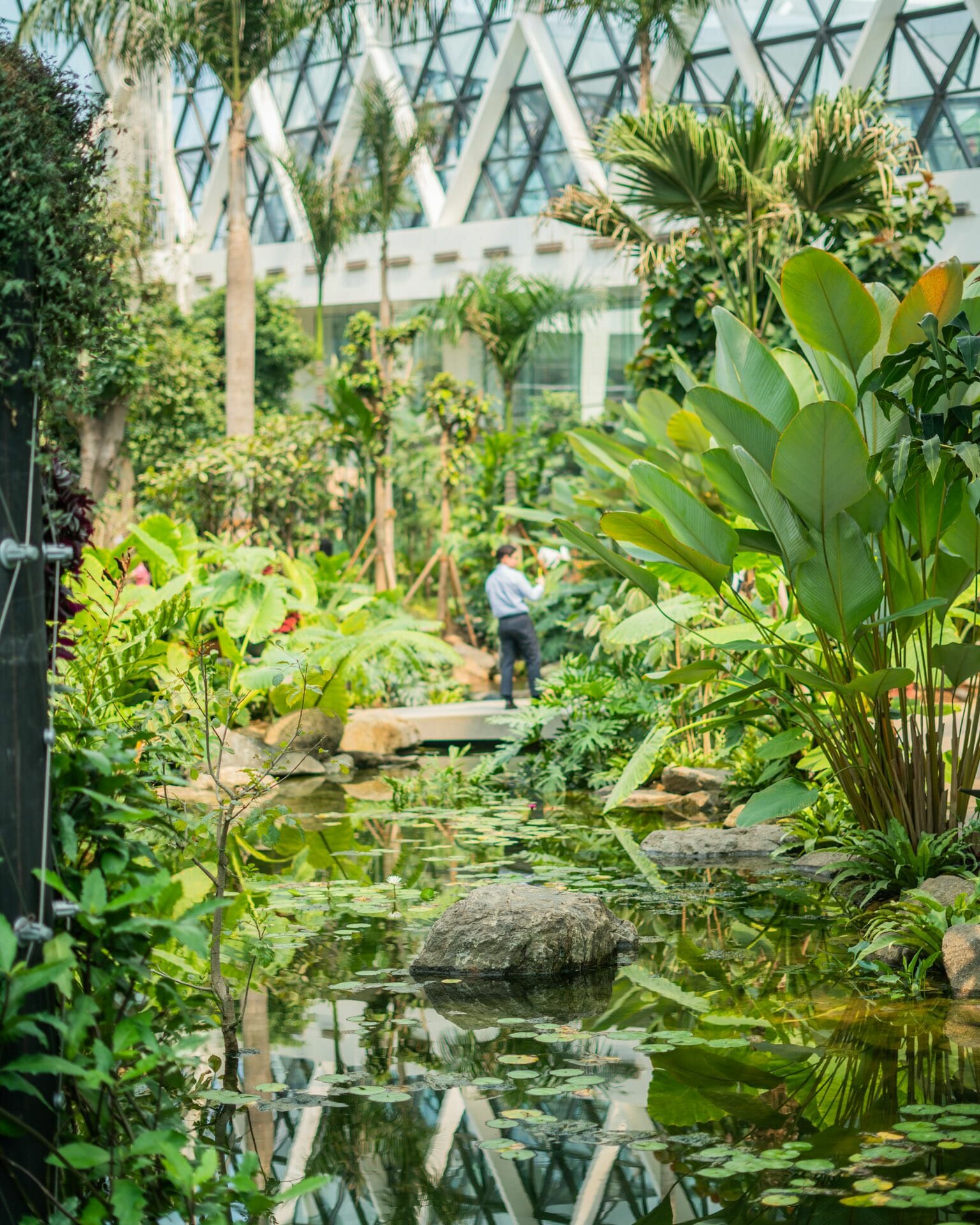 8 Must Visit Parks In Seoul 4 Seoul Botanic Garden Lake