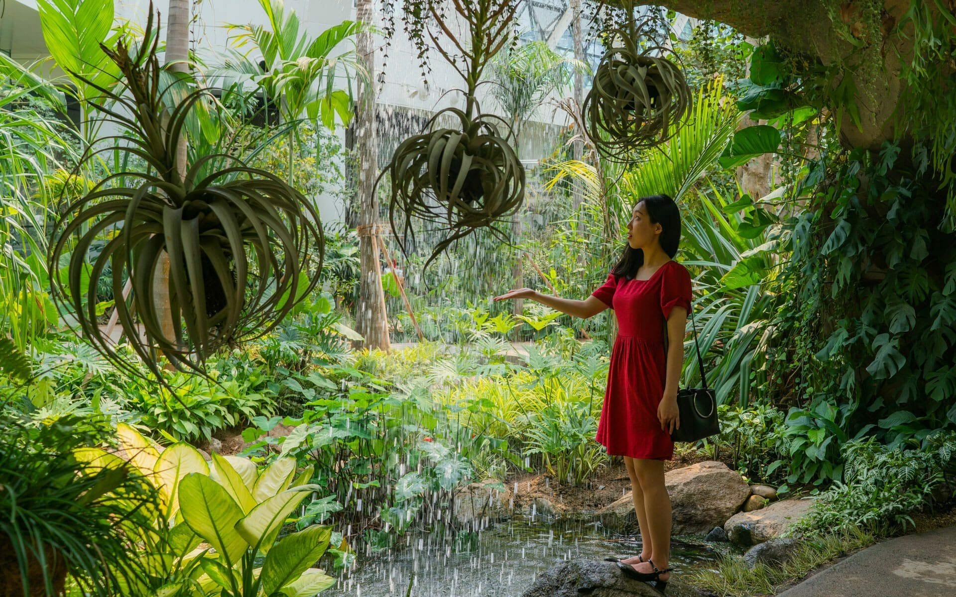9 Things Everyone Should Do In Seoul 14 Seoul Botanic Garden