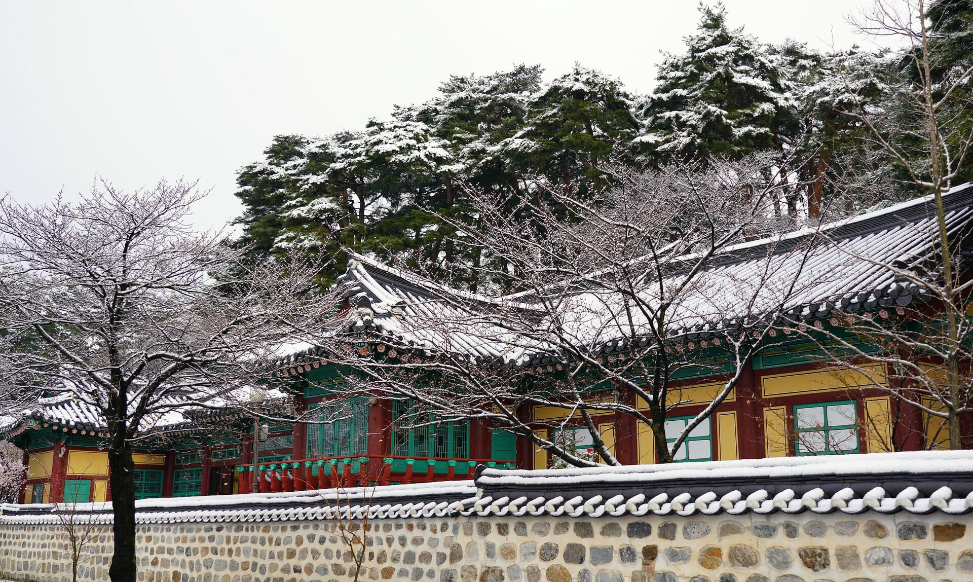 When Is The Best Season To Visit Seoul? 10 When Is the Best Season to Visit Seoul? 2