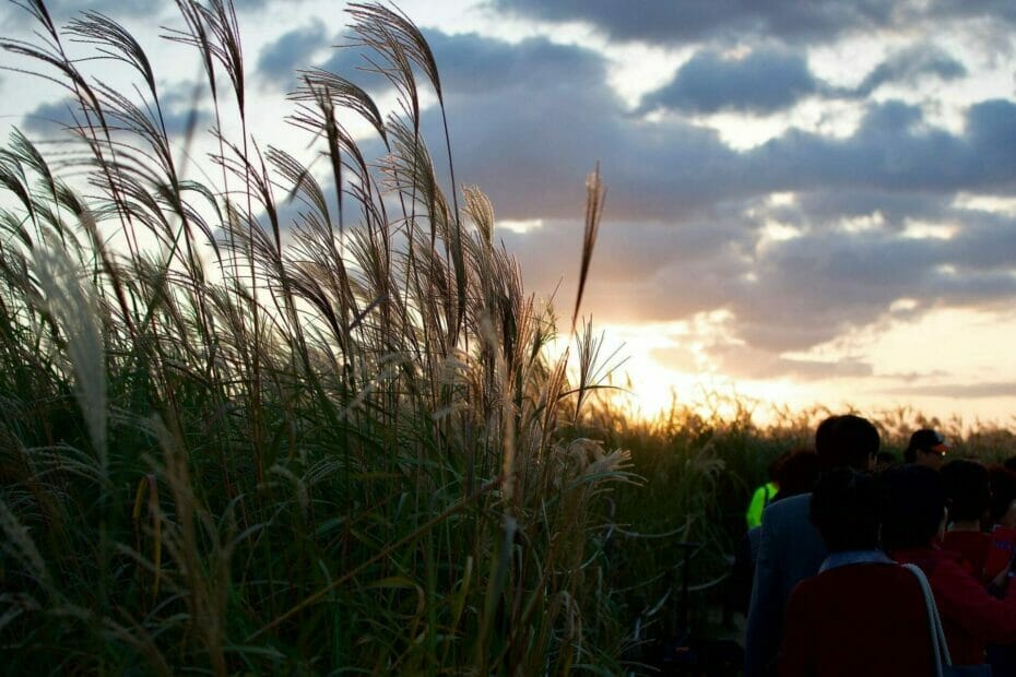 Must-Visit Fall Parks In Seoul - World Cup Stadium 10 Sun goes down behind Haneul Garden