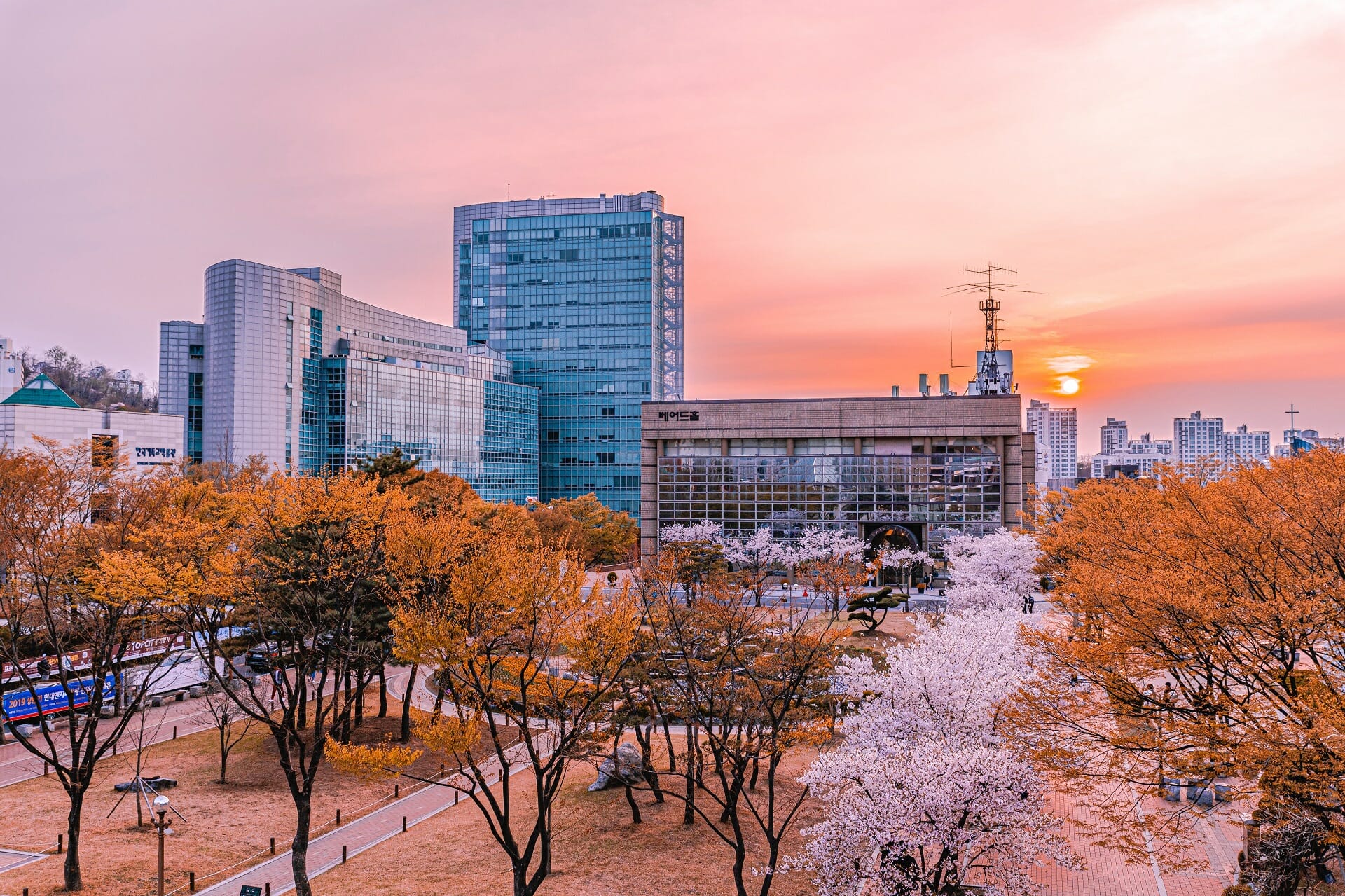 Spring In Korea – Spring Activities, Spring Weather And More! 10 Spring in Korea – Spring Activities, Spring Weather and More! 10