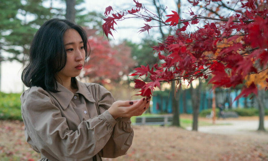 Must-Visit Fall Parks In Seoul - World Cup Stadium 5 Must-Visit Fall Parks in Seoul - World Cup Stadium 2