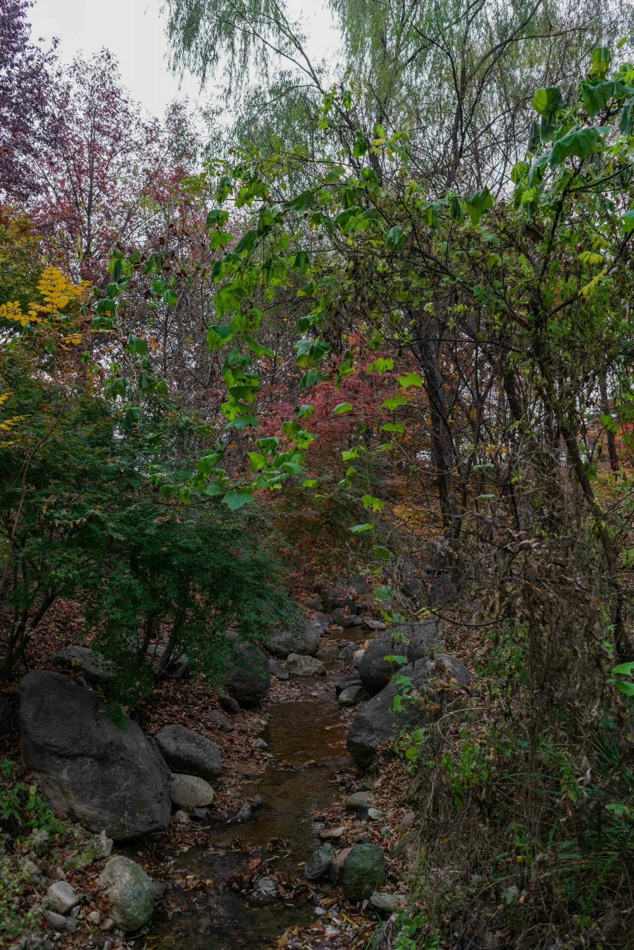 8 Must Visit Parks In Seoul 11 Stream at Pyeongwha Park