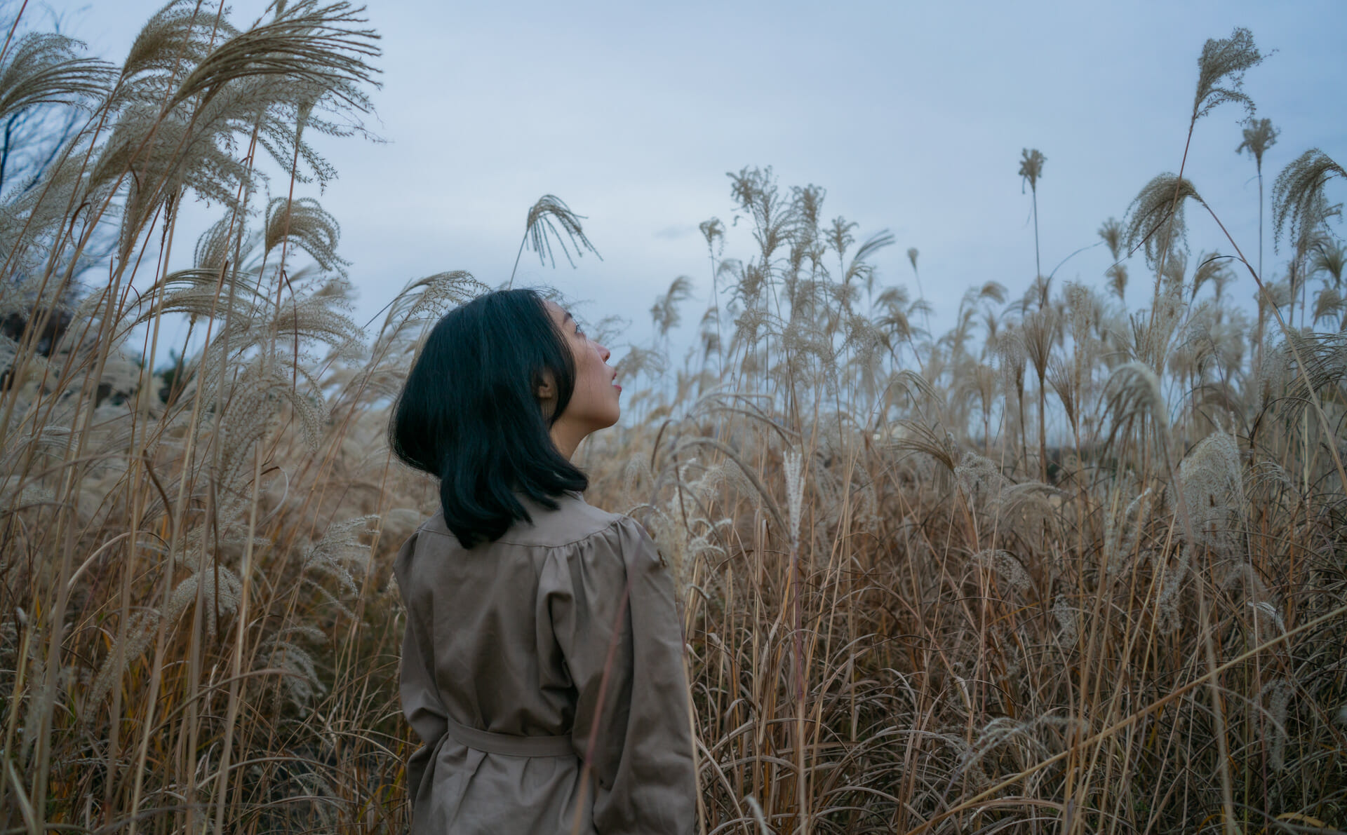 Winter In Korea - 50+ Winter Activities, Winter Weather And More! 42 World Cup Stadium