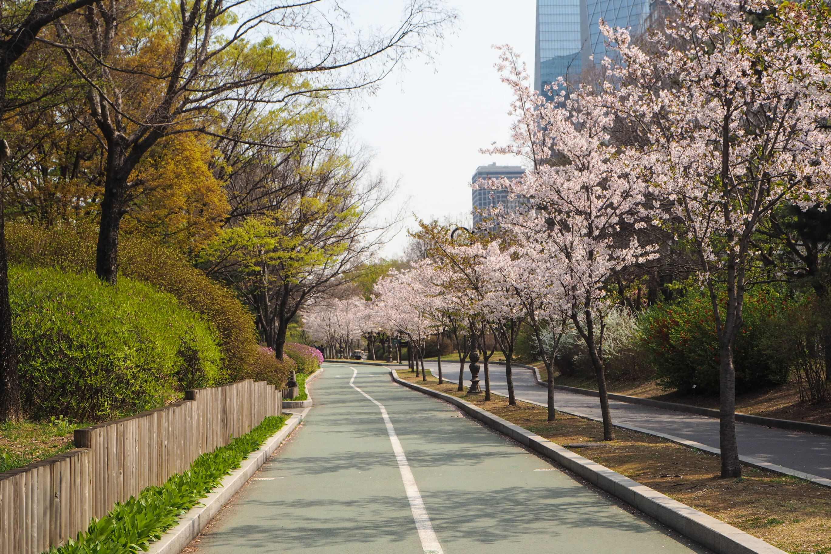 Spring In Korea – Spring Activities, Spring Weather And More! 43 Spring in Korea – Spring Activities, Spring Weather and More! 39
